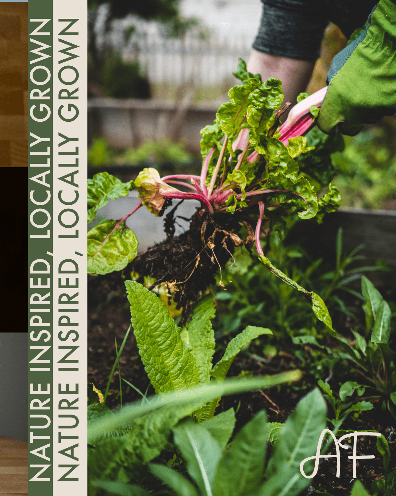 Alexandra’s Farm locally grown brand story with garden photography