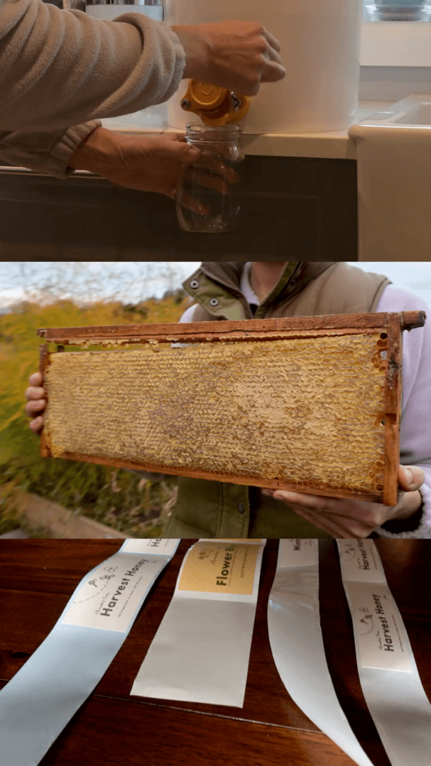 Behind the scenes of Alexandra’s Farm Honey Harvest packaging and product content