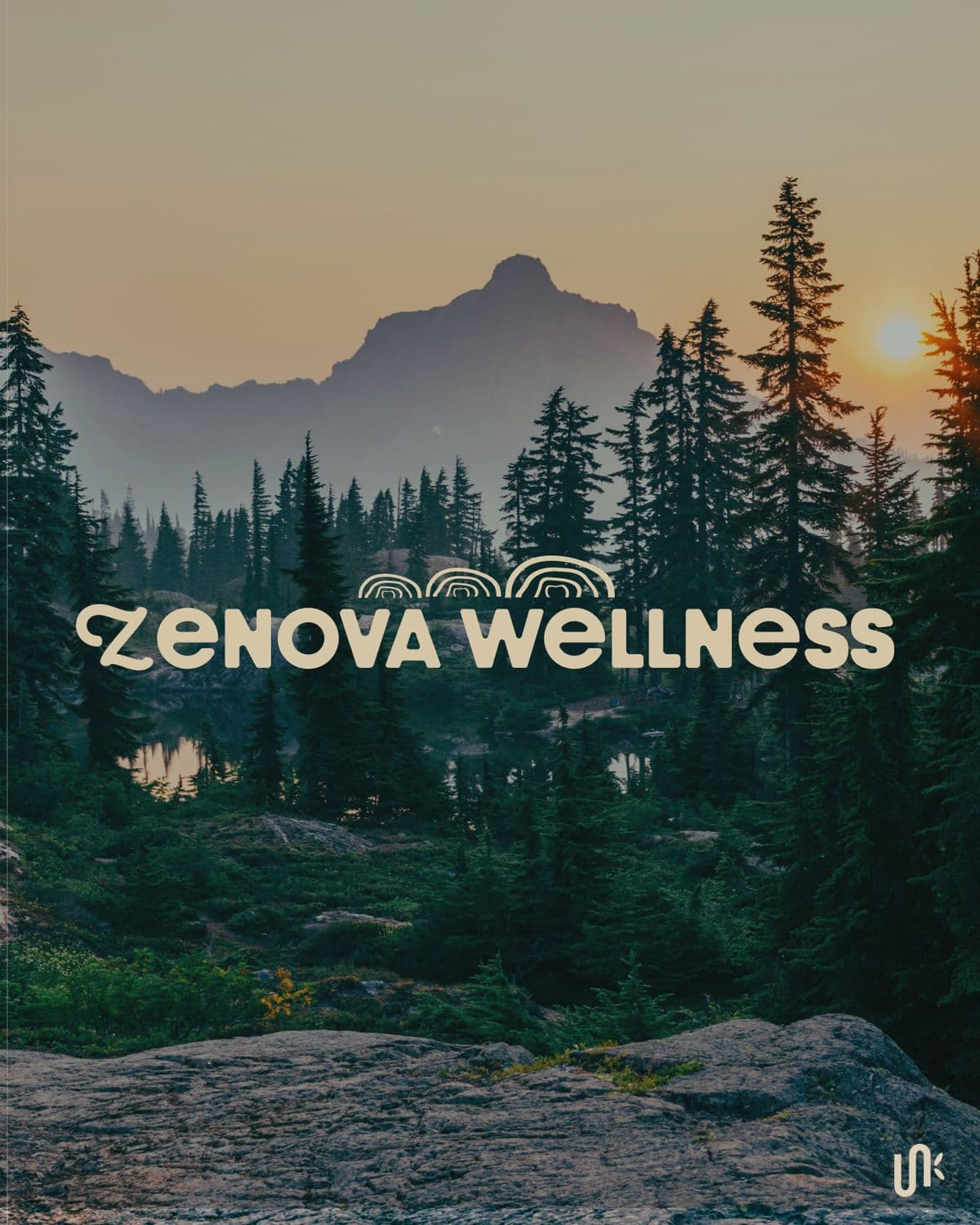 Zenova Wellness social reveal with earthy palette and organic marks
