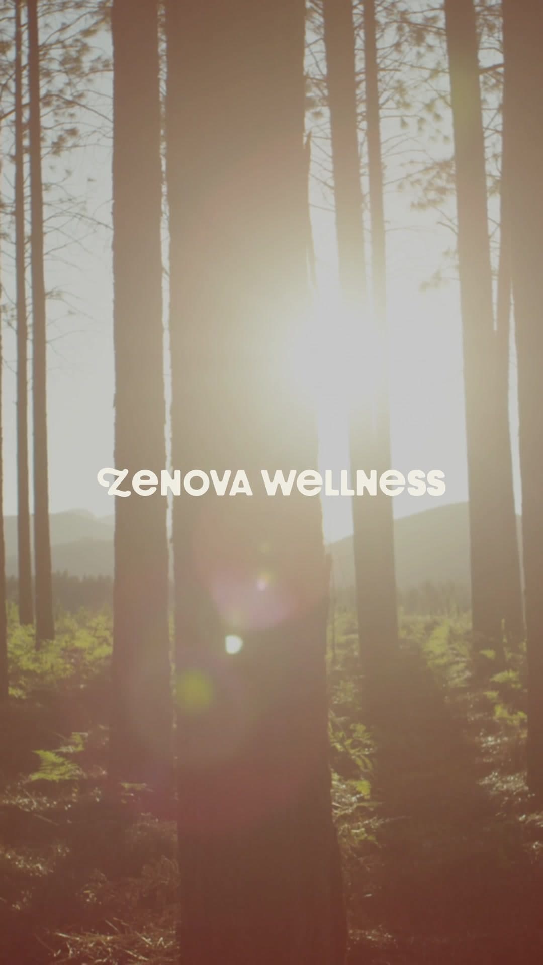 Muted Zenova Wellness brand reveal