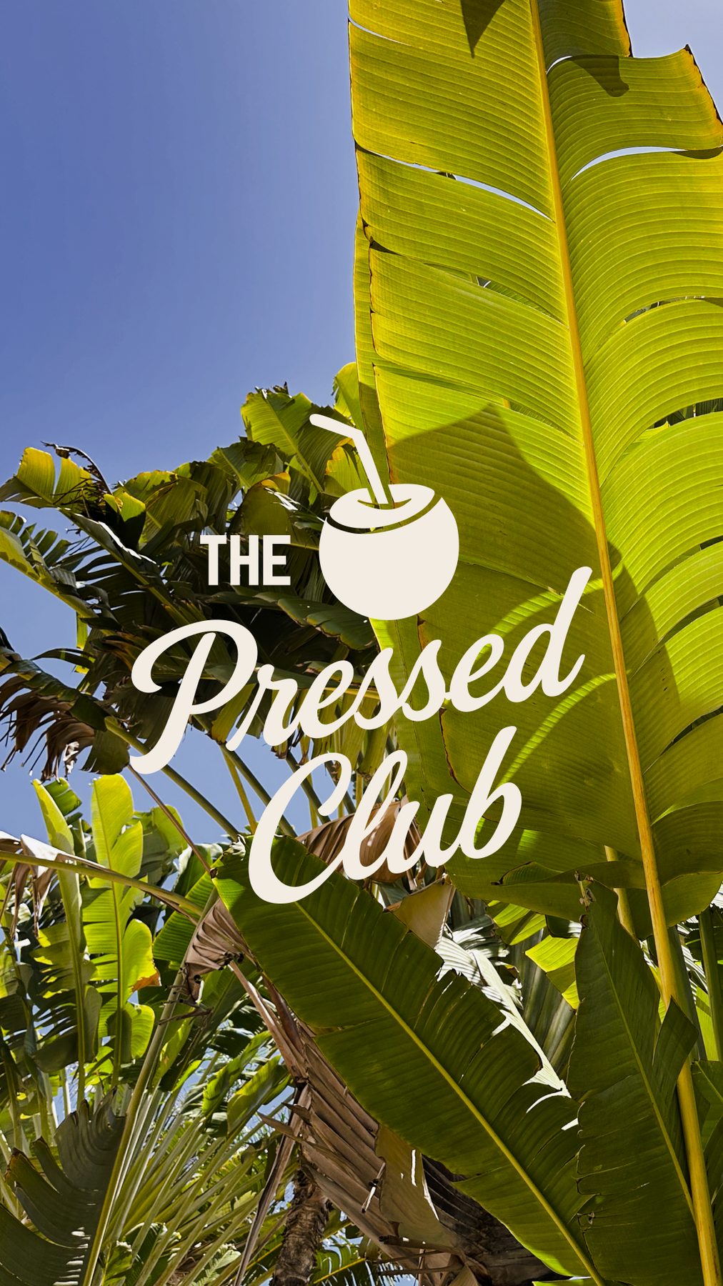 The Pressed Club brand identity featuring bright tropical colours and playful graphic design for a f