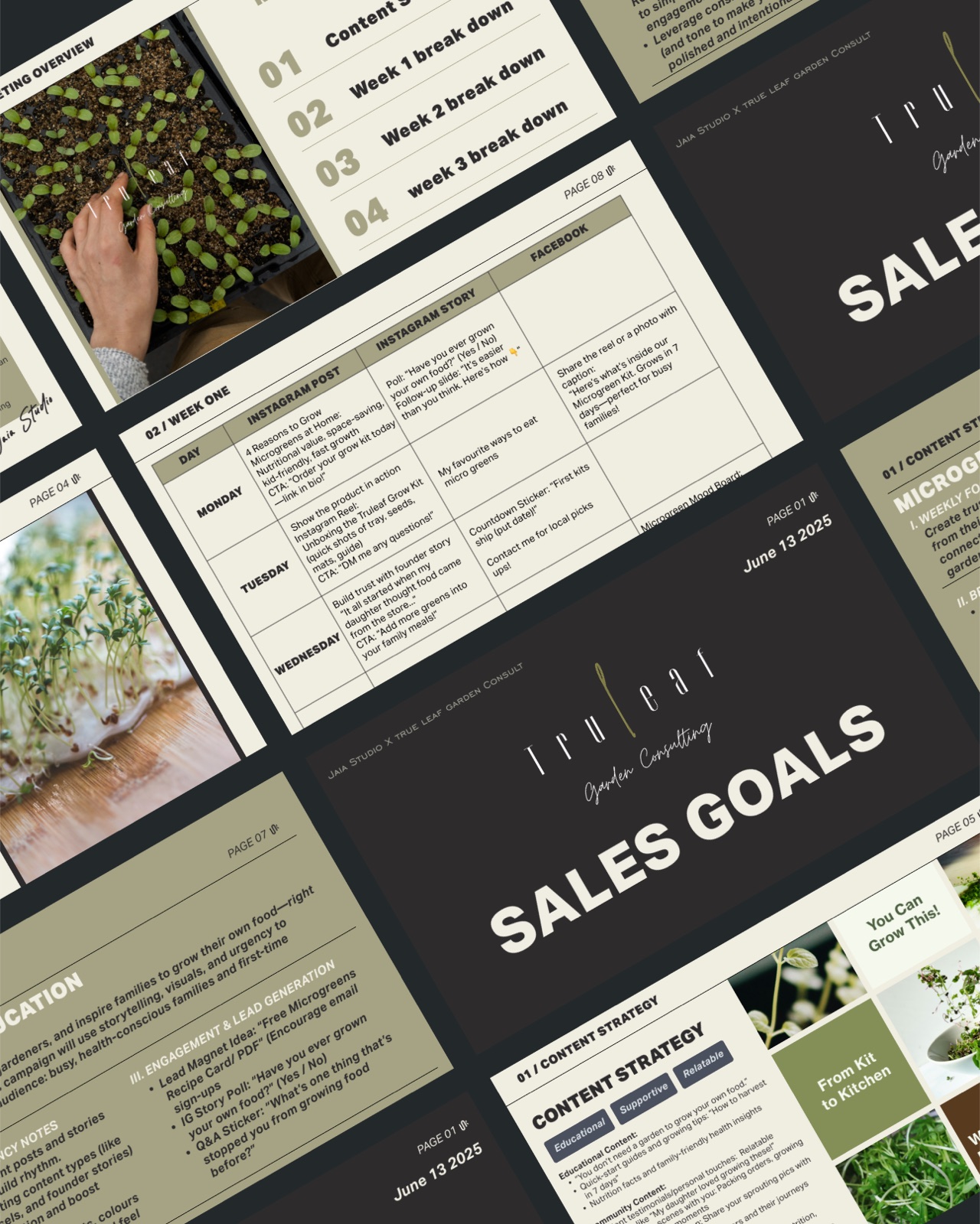 A marketing plan overview for Trueleaf Garden Consulting focused on sales goals, content pillars, and a three-week posting calendar.